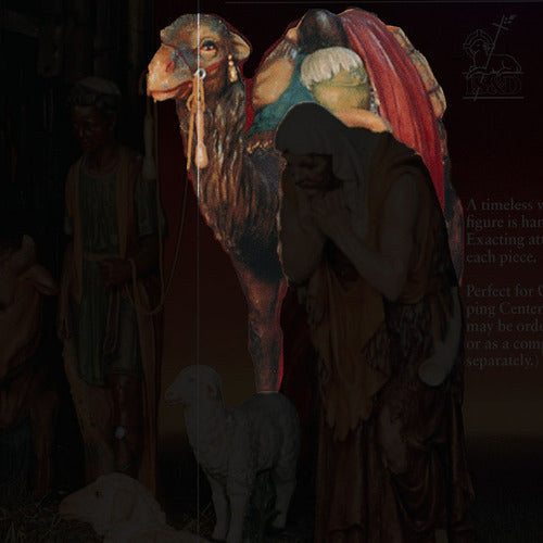 Life-Size Nativity Camel 82 inch statue, color finish