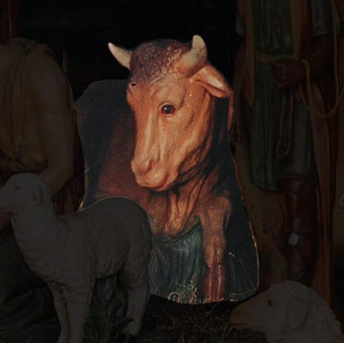 Life-Size Nativity Cow 71 inch long statue, color finish