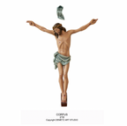 CORPUS 788C  TRADITIONAL 5FT