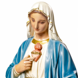 Immaculate Heart of Mary 49" X2585 new. Fynders Keepers