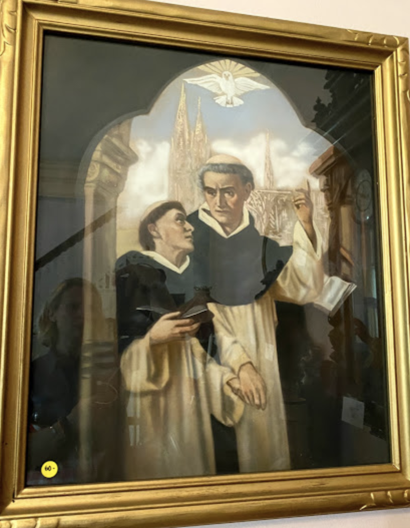 Large Dominican Framed Print